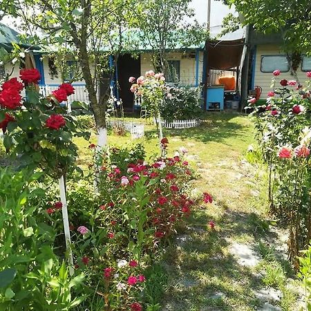 Camping Casuta Mihaela Crișan Eksteriør billede