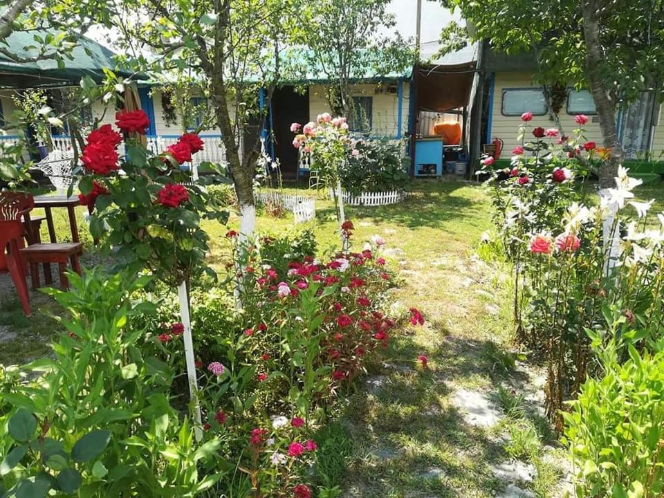 Camping Casuta Mihaela Crișan Eksteriør billede