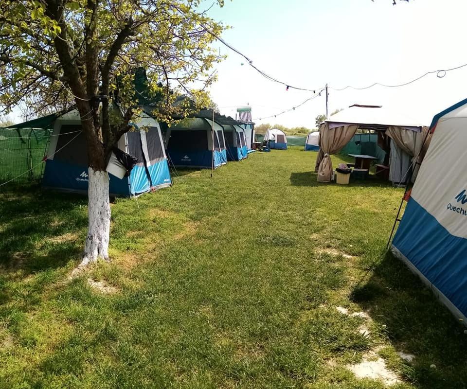 Camping Casuta Mihaela Crișan Eksteriør billede