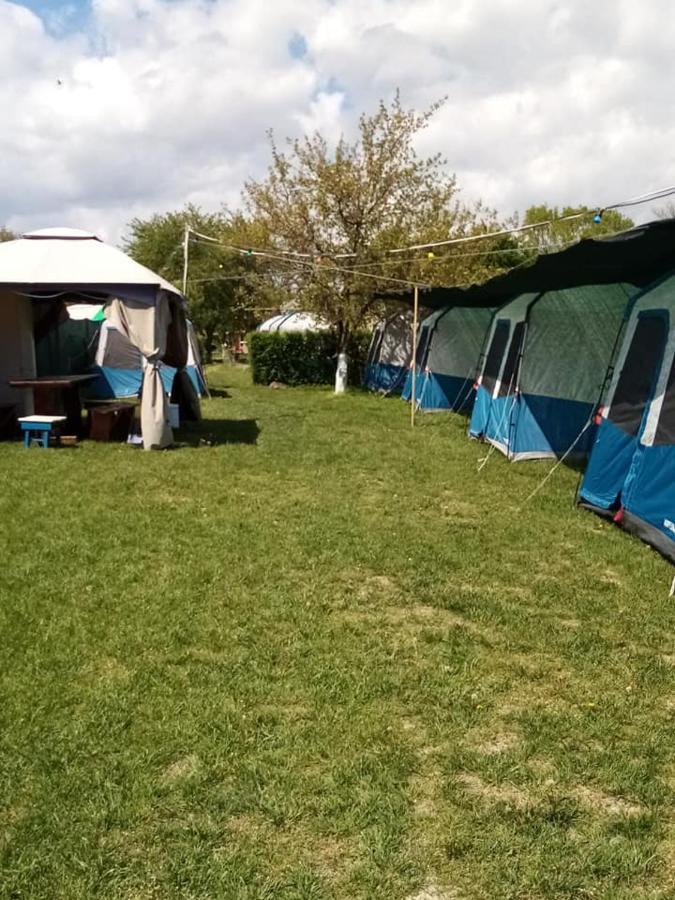 Camping Casuta Mihaela Crișan Eksteriør billede
