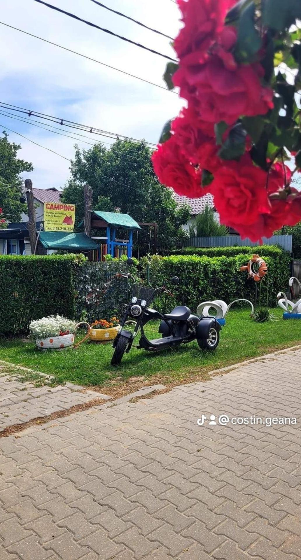 Camping Casuta Mihaela Crișan Værelse billede