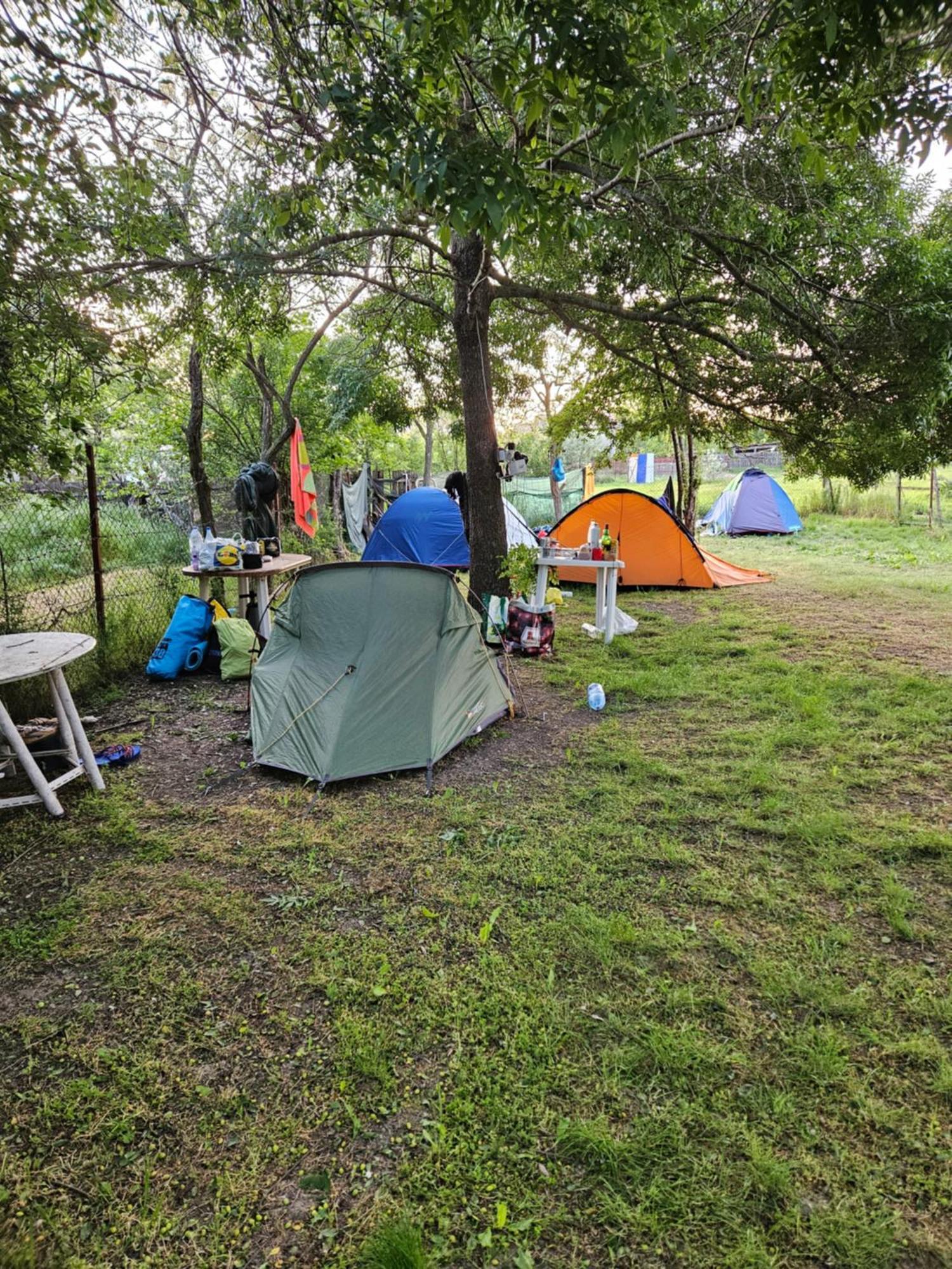 Camping Casuta Mihaela Crișan Værelse billede