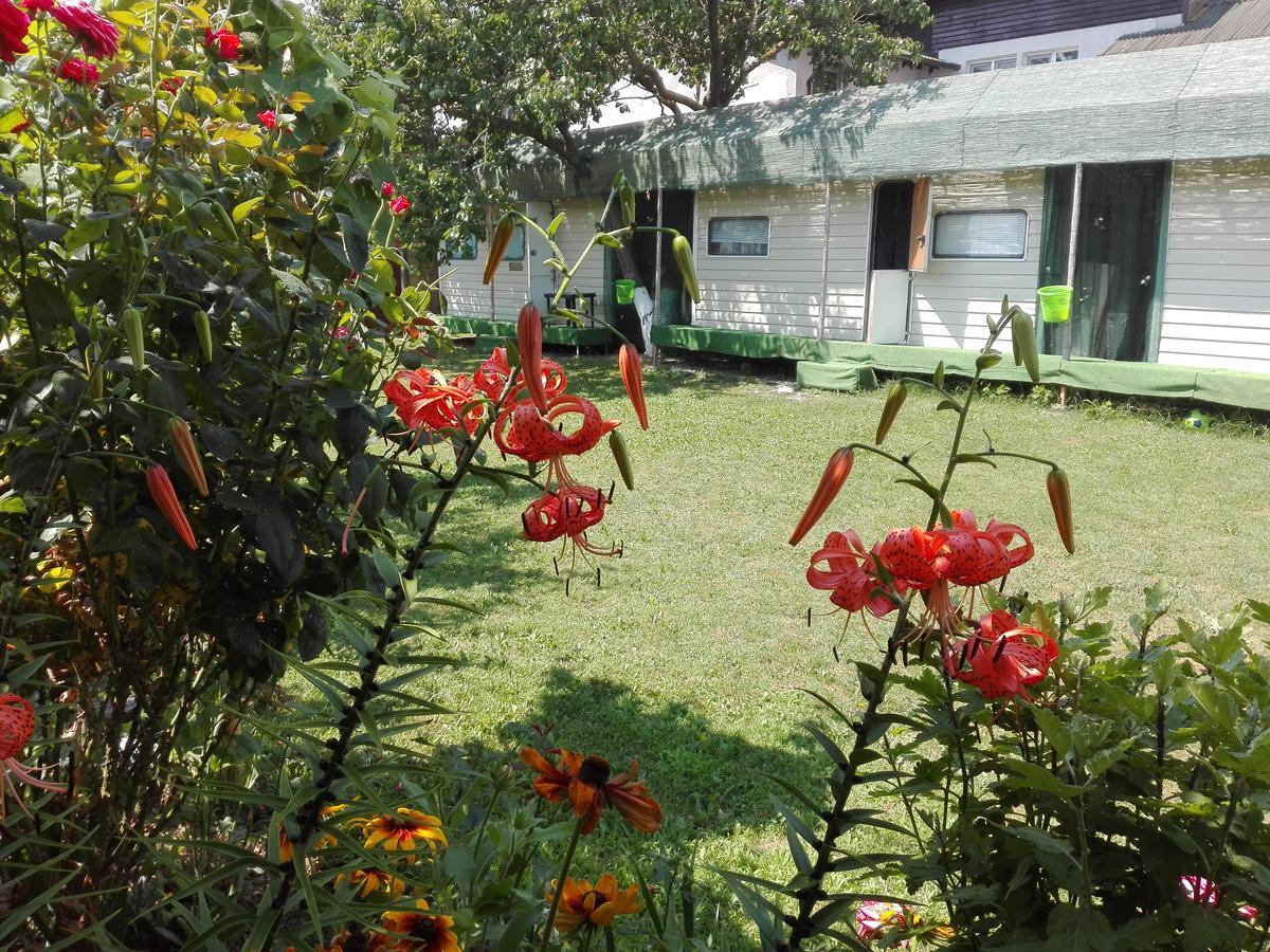 Camping Casuta Mihaela Crișan Eksteriør billede