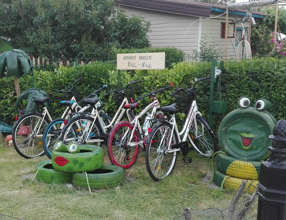 Camping Casuta Mihaela Crișan Eksteriør billede