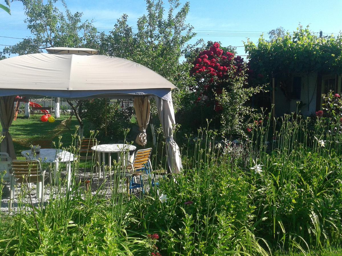 Camping Casuta Mihaela Crișan Eksteriør billede