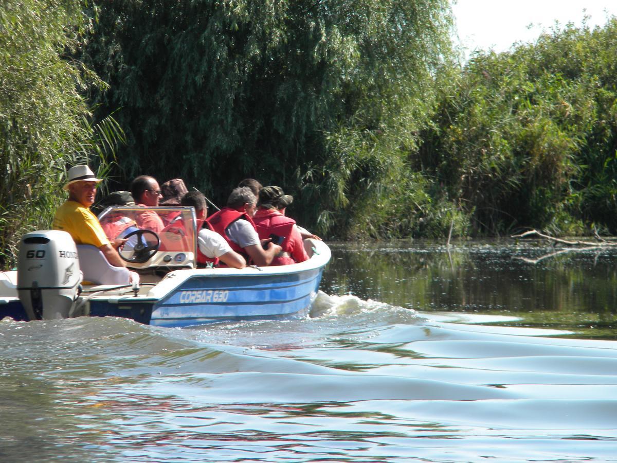 Camping Casuta Mihaela Crișan Eksteriør billede